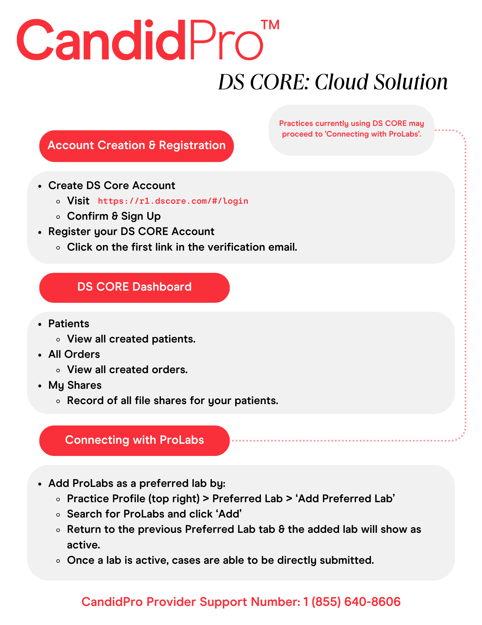 DS CORE v.2.png